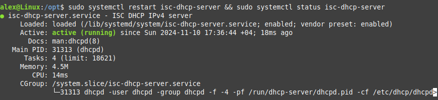 DHCP server started successfully