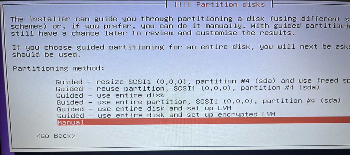 Select manual disk setup